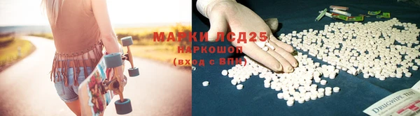 ПСИЛОЦИБИНОВЫЕ ГРИБЫ Верхнеуральск