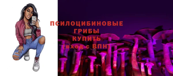 ПСИЛОЦИБИНОВЫЕ ГРИБЫ Верхнеуральск