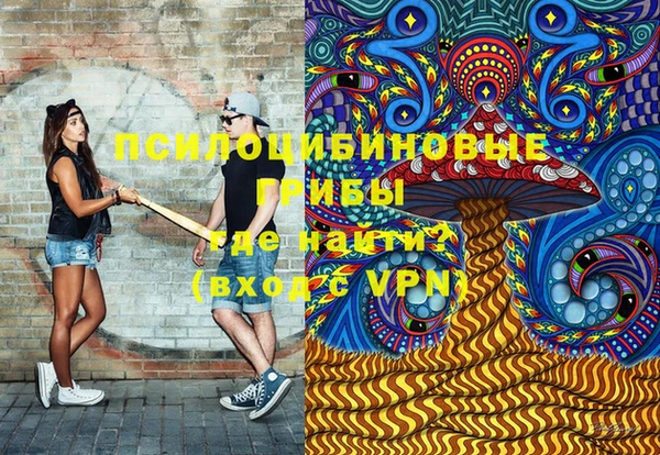 ПСИЛОЦИБИНОВЫЕ ГРИБЫ Верхнеуральск