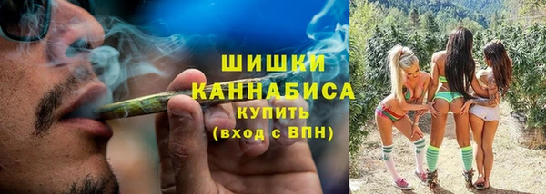 ПСИЛОЦИБИНОВЫЕ ГРИБЫ Верхнеуральск
