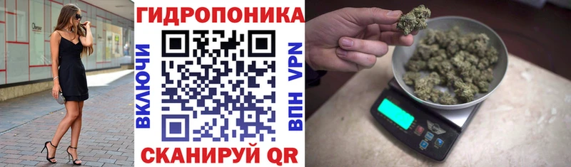 площадка наркотические препараты  Питкяранта  МАРИХУАНА сатива 